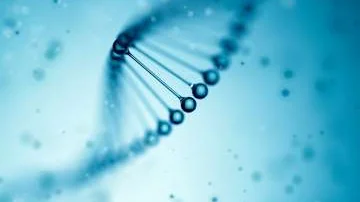 Illustration of genetics helix