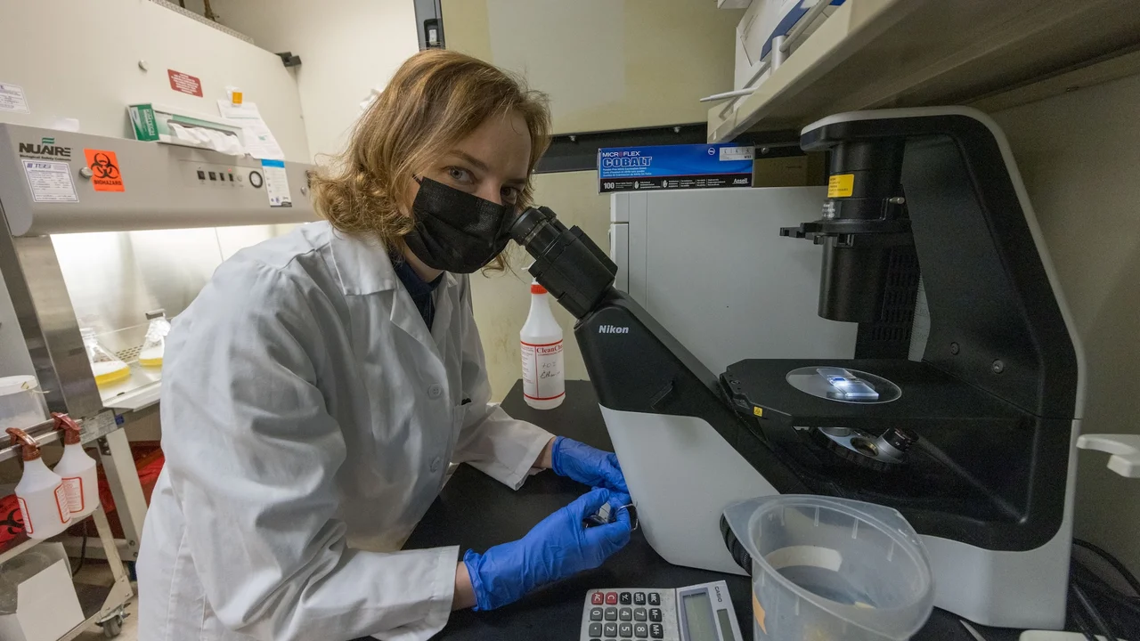 Lab member looking in microscope