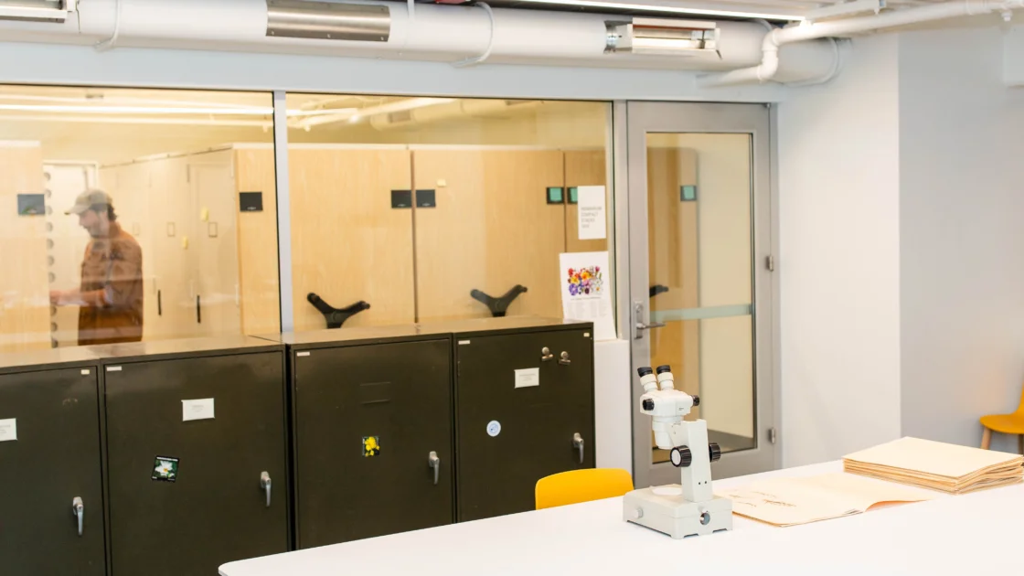 Herbarium workspace with microscope on table 