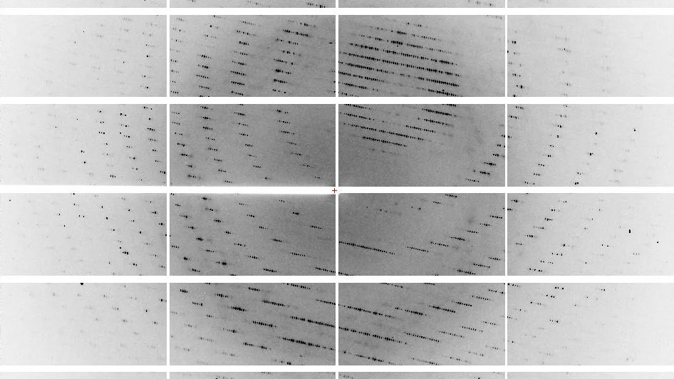 X-ray crystallography diffraction pattern showing concentric arcs of reflection spots on a segmented detector.
