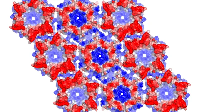 Molecular surface model showing a hexagonal protein lattice with alternating red and blue electrostatic regions.