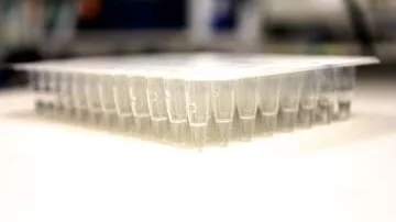 Close-up view of a transparent plastic 96-well microplate.
