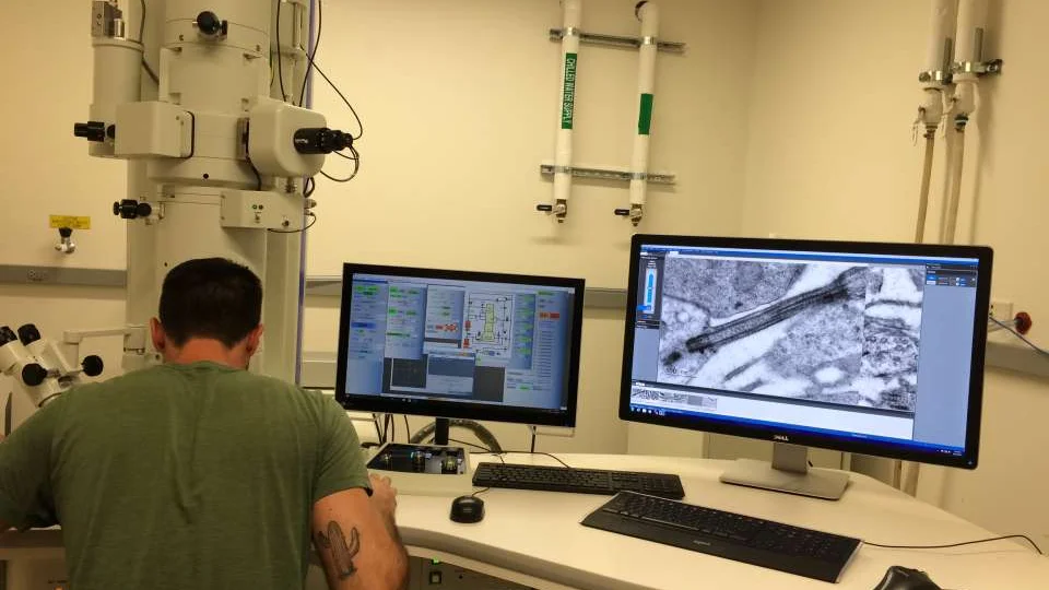 Lab worker looking at microscopic images on computer