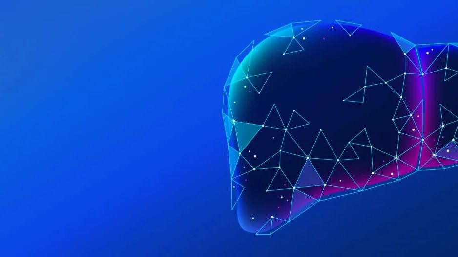 Illustration of a liver