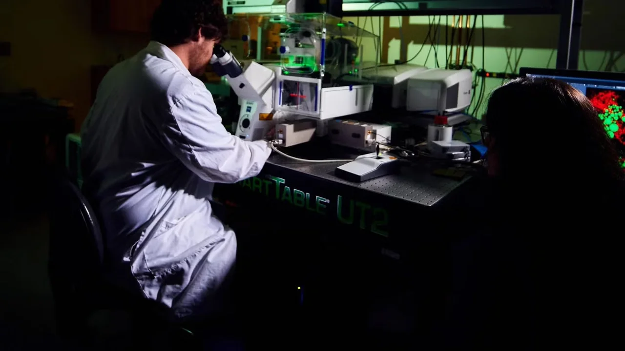 Researcher looking through microscope in lab