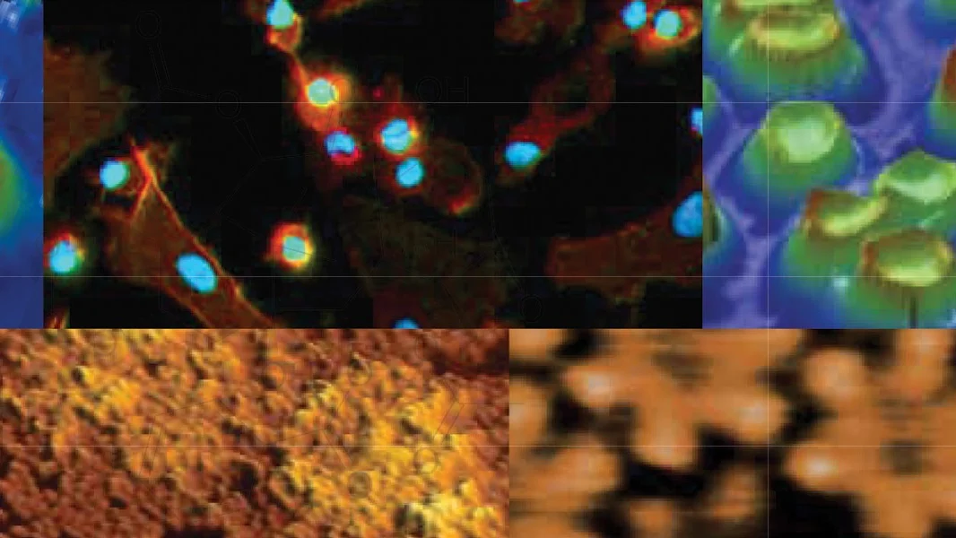 Collage of microscopy images showing various cellular and nanoscale structures.