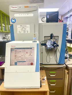 Thermo Easy- nLC connected to a Q Exactive Plus Orbitrap MS