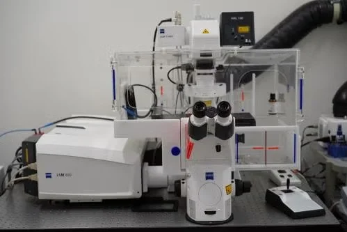 Zeiss LSM 880 Confocal with Airyscan