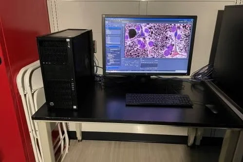 CHS Analysis Workstation 2, Zen