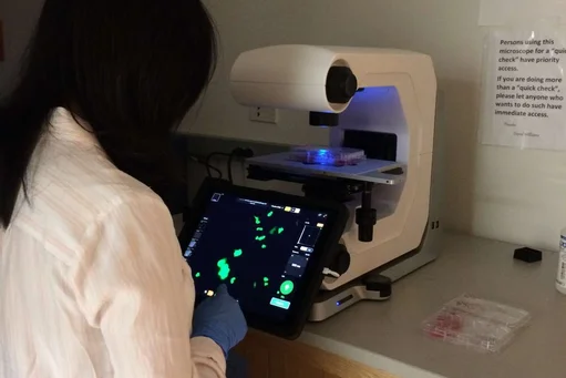 Scientist using a tablet to view fluorescent cell images from a digital microscope with a multi-well plate under blue light.