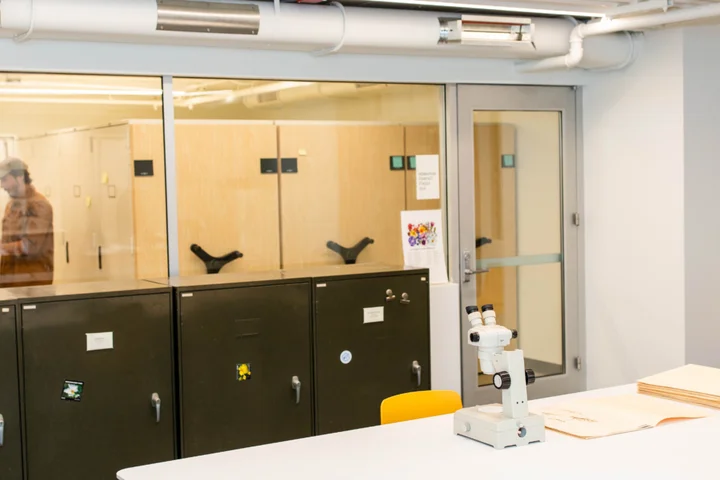Herbarium workspace with microscope on table 