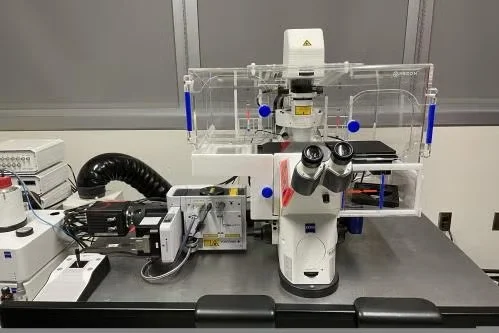 Zeiss Spinning Disk Confocal with Widefield