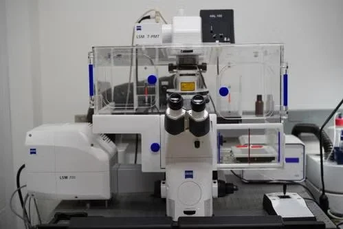 Zeiss LSM 700 Confocal