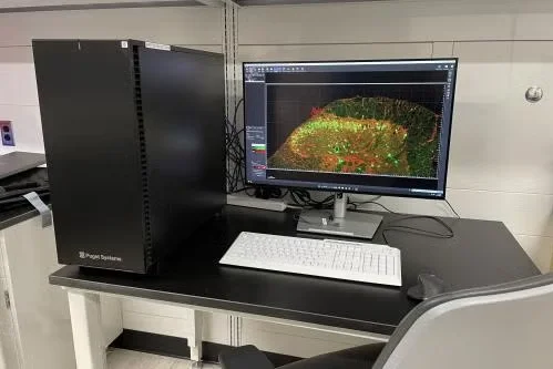 CHS Analysis Workstation 1, Imaris