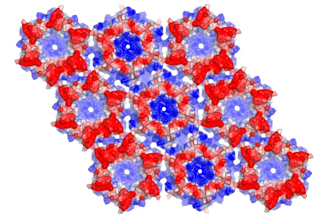 Molecular surface model showing a hexagonal protein lattice with alternating red and blue electrostatic regions.