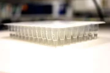 Close-up view of a transparent plastic 96-well microplate.