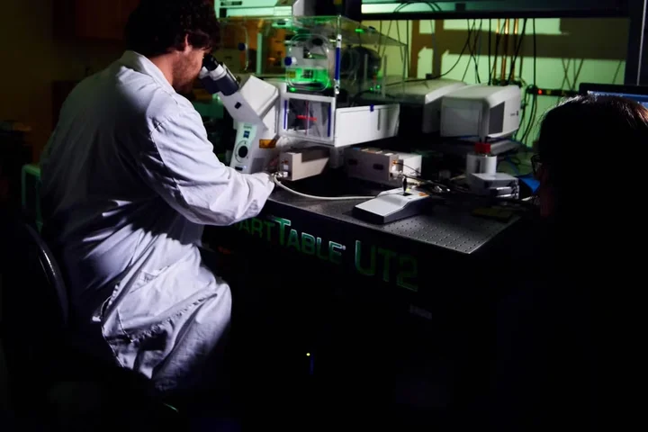 Researcher looking through microscope in lab