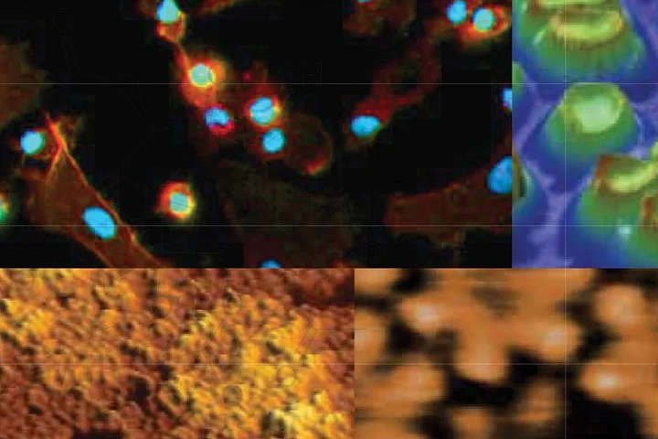 Collage of microscopy images showing various cellular and nanoscale structures.