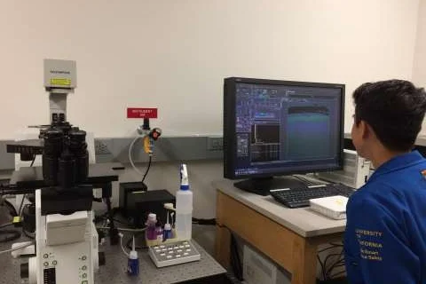 Researcher analyzing microscope images on a computer next to an Olympus confocal microscope in a lab.