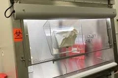 Biosafety cabinet for eye injection