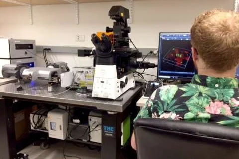Scientist analyzing 3D fluorescence microscopy data on a computer next to an advanced microscope setup.