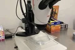 Leica Stereomicroscope