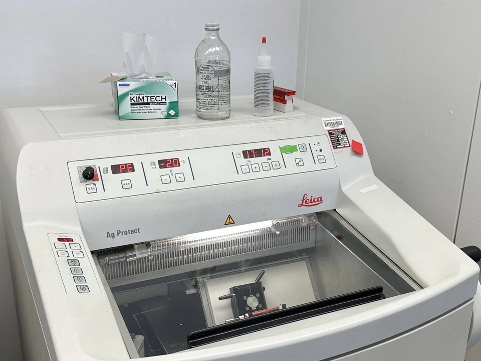 Leica VT1000S vibratome