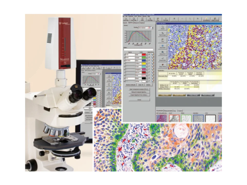 Wide-Field NUANCE Microinjection Upright Microscope