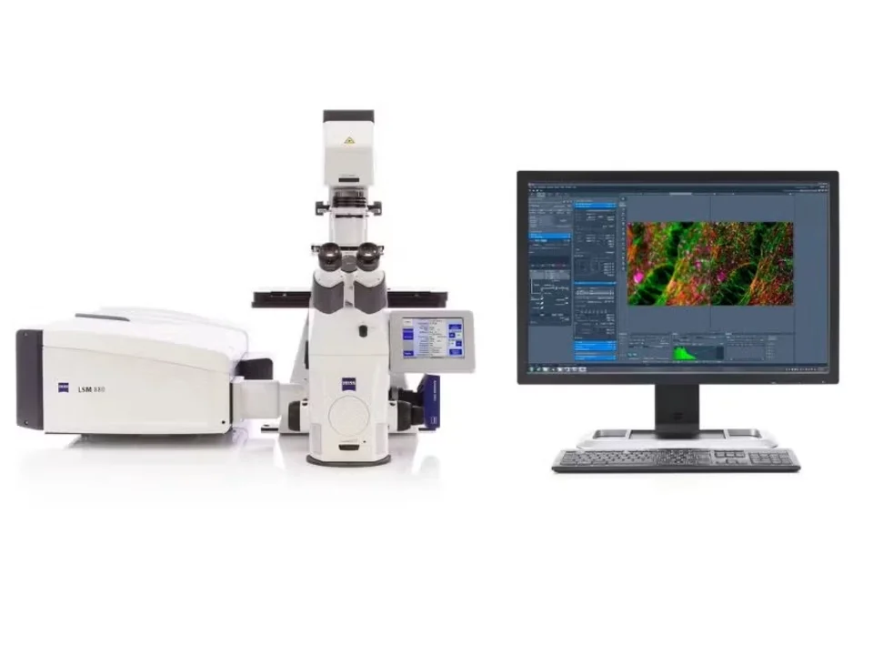 Zeiss LSM880 with Airyscan, 2-Photon and FLIM Module